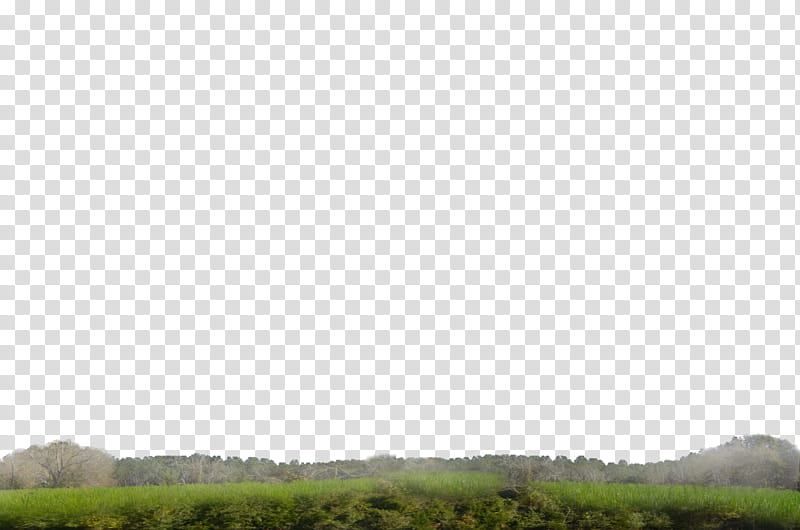 Grass and Distant Land , green grass field transparent background PNG clipart