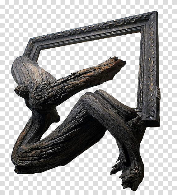 Tree Roots Drawing, Sculpture, Painting, Frames, Wood, Furniture, Table, Driftwood transparent background PNG clipart