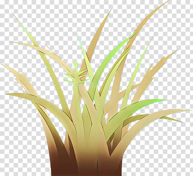 Drawing Of Family, Vegetation, Plants, Tropical Vegetation, Grass, Houseplant, Terrestrial Plant, Grass Family transparent background PNG clipart