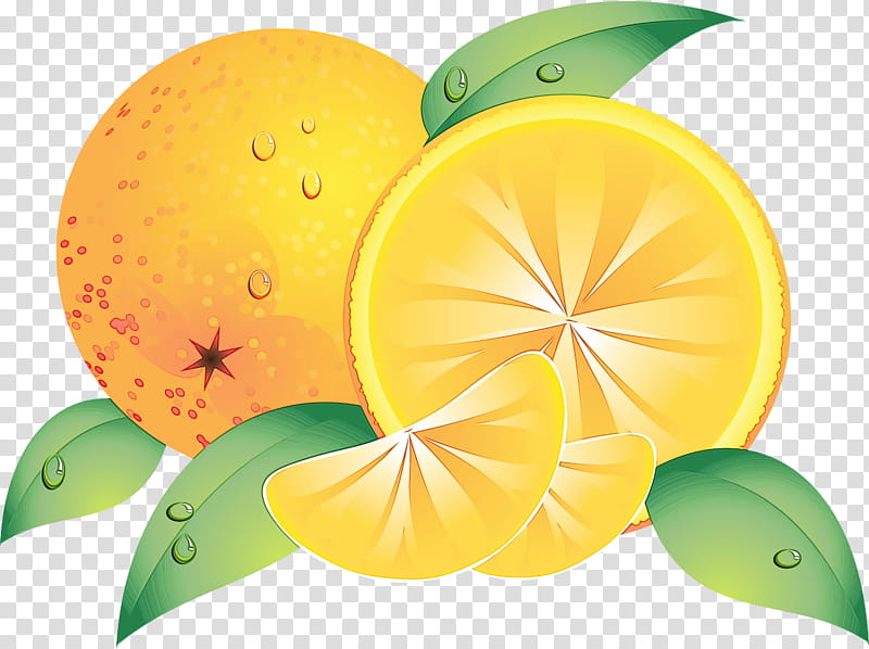 Lemon Drawing, Letter, Word, Animation, Language, Present Perfect, Proform, Citrus transparent background PNG clipart