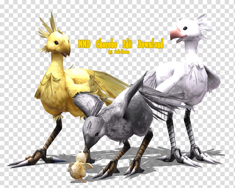 Chicken, Rooster, Chocobo, Artist, Model, Video Games, Water Bird, Final Fantasy transparent background PNG clipart