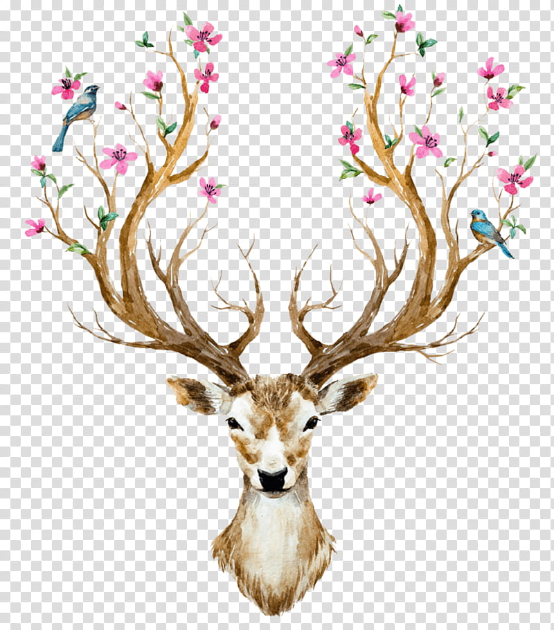 Tree Wall, Deer, Antler, Wall Decal, Horn, Flower, Floral Design, Sticker transparent background PNG clipart