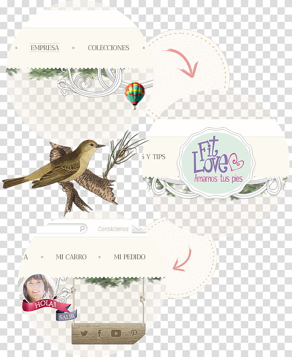 World, Beak, New World Warblers, Feather, Female, Crow, Woman, Bird transparent background PNG clipart