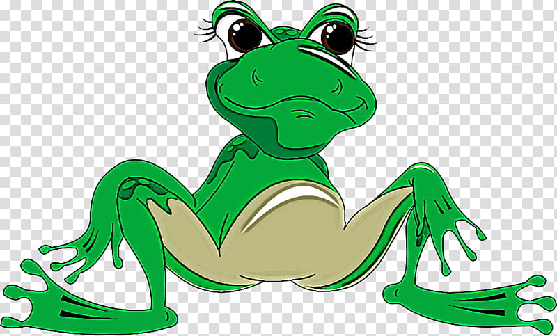 green true frog cartoon frog shrub frog, Toad, Tree Frog, Hyla transparent background PNG clipart