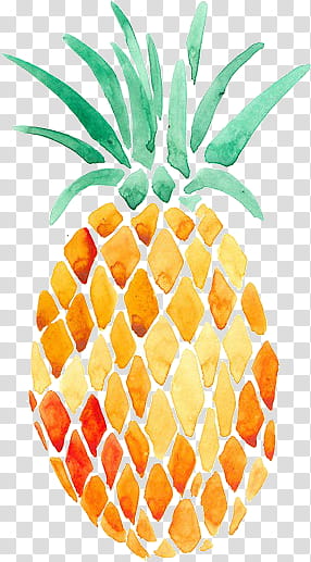 Tropical , orange pineapple fruit illustration transparent background PNG clipart