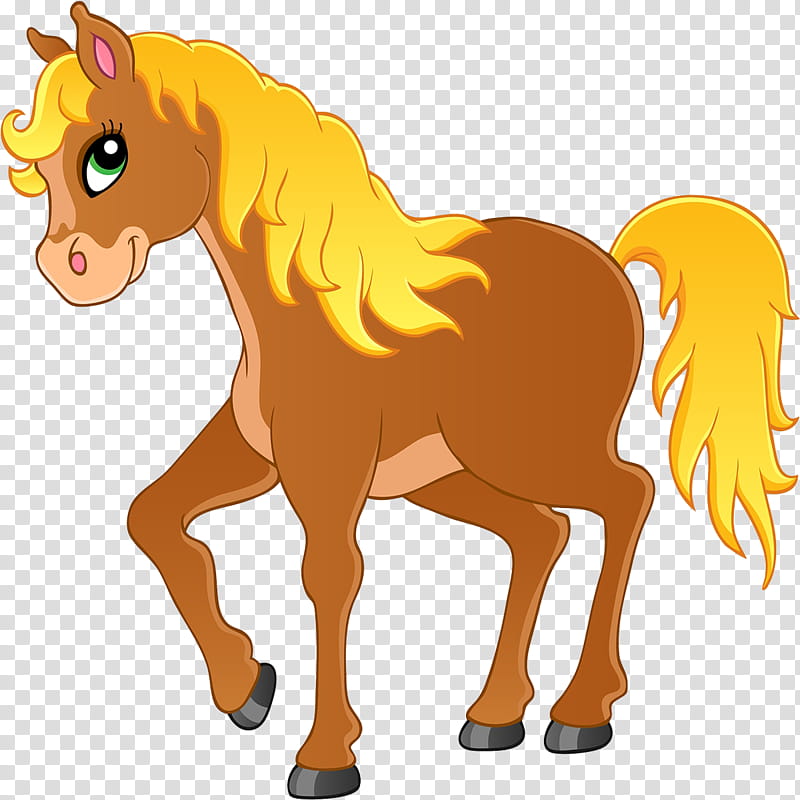 Horse, Pony, Mane, Colt, Stallion, Live, Foal, Tail transparent background PNG clipart