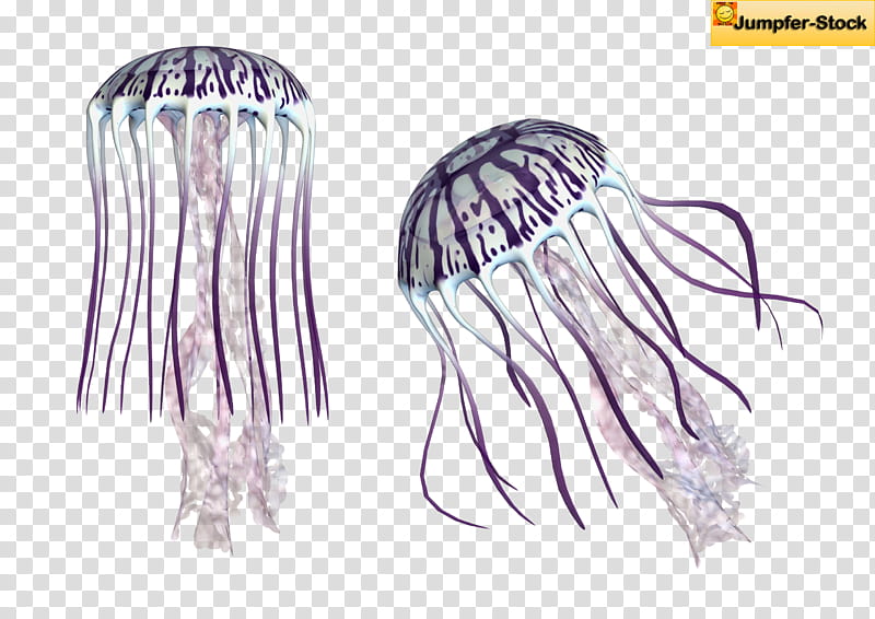 Giant Jellyfish , blue jelly fish transparent background PNG clipart