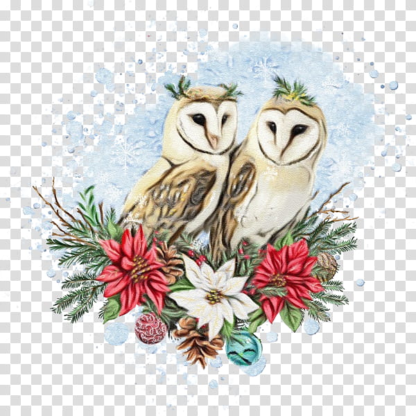 owl bird bird of prey barn owl snowy owl, Watercolor, Paint, Wet Ink, Branch, Watercolor Paint transparent background PNG clipart