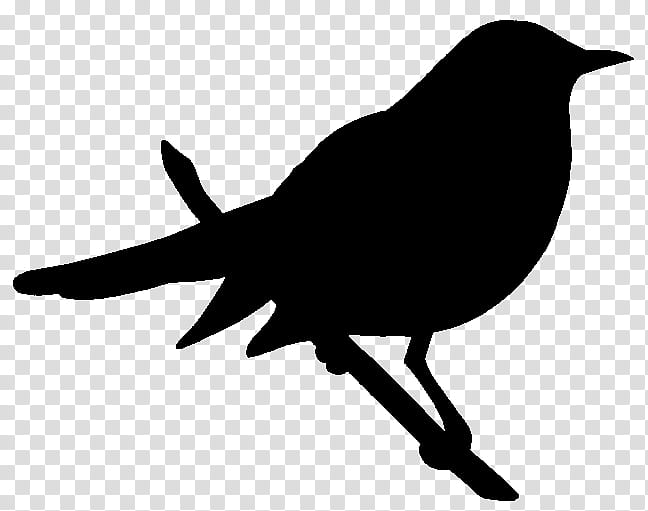 Robin Bird, American Crow, Black White M, Silhouette, Common Raven, Beak, Blackbird, New Caledonian Crow transparent background PNG clipart