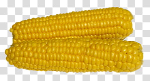 Popcorn, Corn On The Cob, Caramel Corn, Kettle Corn, Flint Corn, Sweet Corn, Dent Corn, Baby Corn transparent background PNG clipart thumbnail