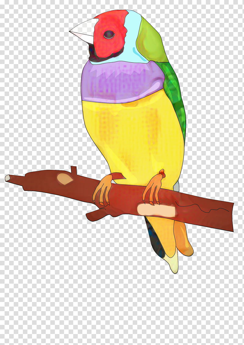 Bird Parrot, Parakeet, Beak, Feather, Pet, Bird Toy, Bird Supply, Finch transparent background PNG clipart