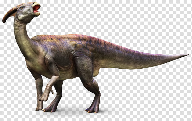 Jurassic Park, Parasaurolophus, Dinosaur, Velociraptor, Pachycephalosaurus, Spinosaurus, Herbivore, Jurassic World transparent background PNG clipart