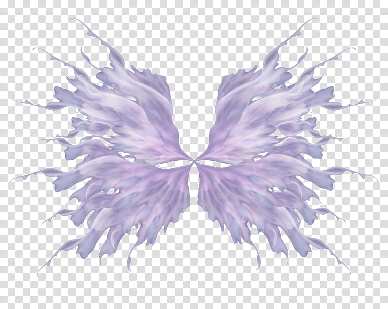 D Wings , white and black petaled flower transparent background PNG clipart