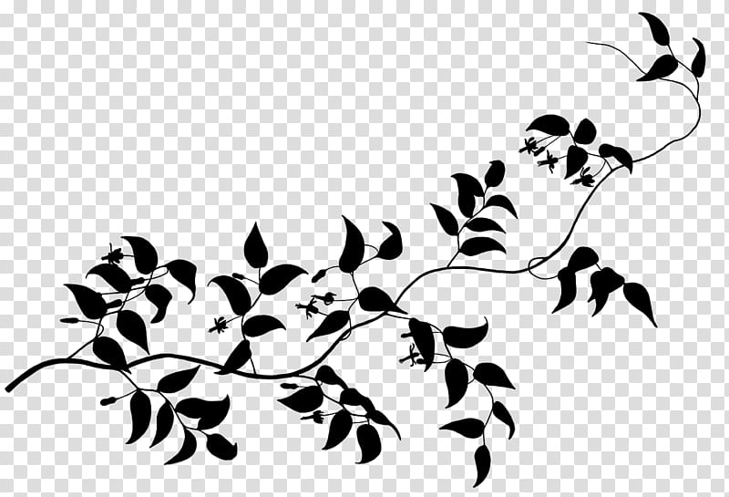 Tree Branch Silhouette, Visual Arts, Twig, Leaf, Plant Stem, Insect, Plants, White transparent background PNG clipart
