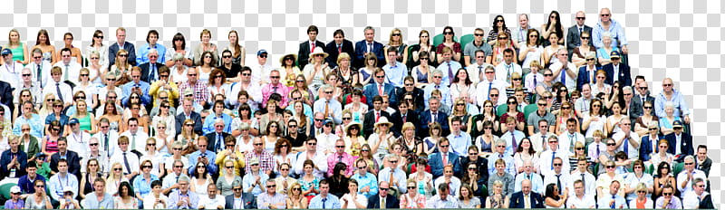 people stadium crowd transparent background PNG clipart