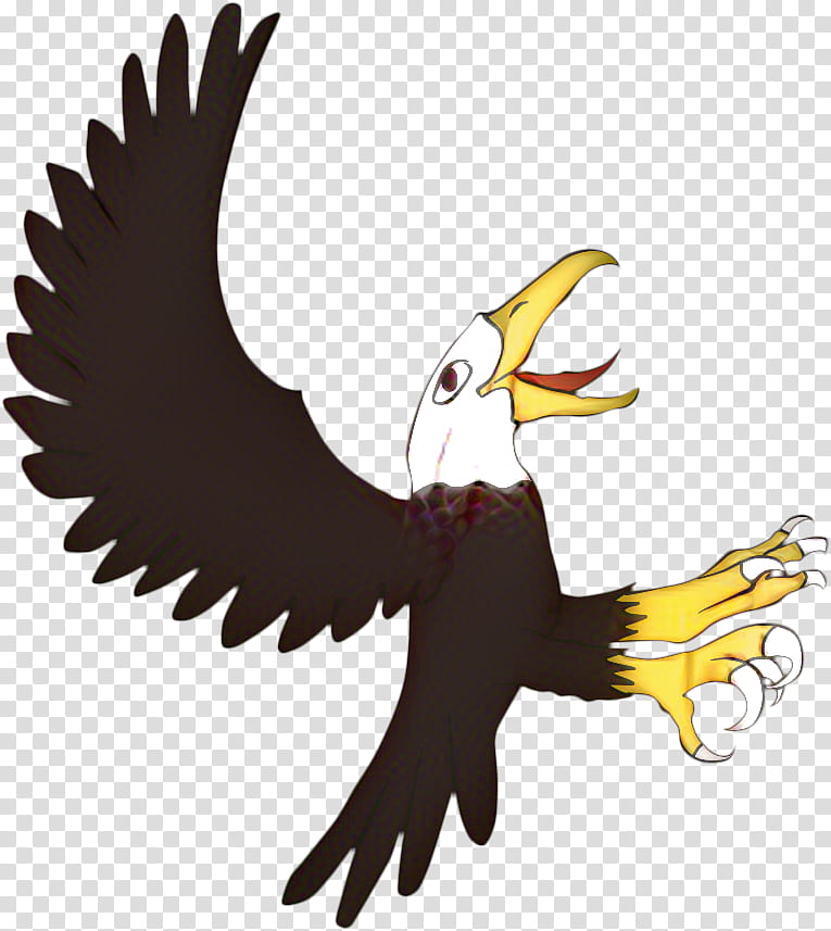 Eagle Drawing, Bald Eagle, Beak, Cartoon, Bird, Bird Of Prey, Accipitridae, Golden Eagle transparent background PNG clipart