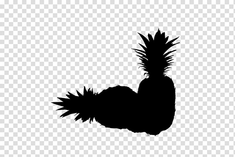Chicken Logo, Rooster, Silhouette, Feather, Beak, Chicken As Food, Black M, White transparent background PNG clipart