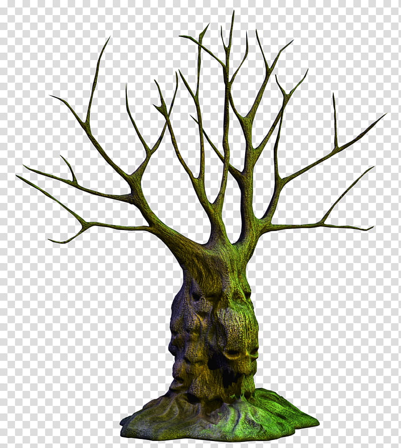Spooky Tree  , green leafless tree transparent background PNG clipart