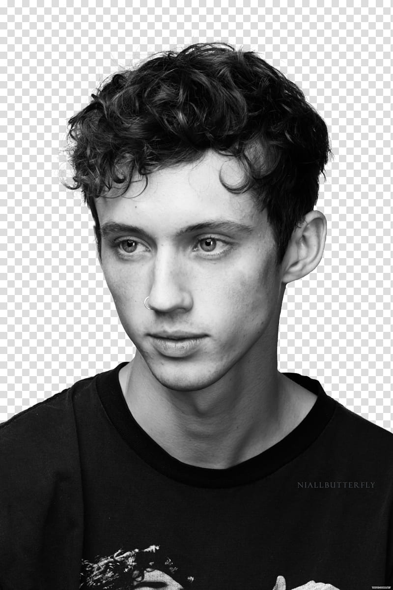 TROYE SIVAN transparent background PNG clipart