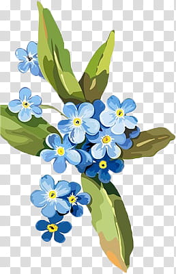 Flowers, blue petal flowers with leaves transparent background PNG clipart