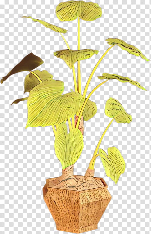 Tree, Leaf, Flowerpot, Plant Stem, Houseplant, Plants, Maidenhair Tree, Anthurium transparent background PNG clipart