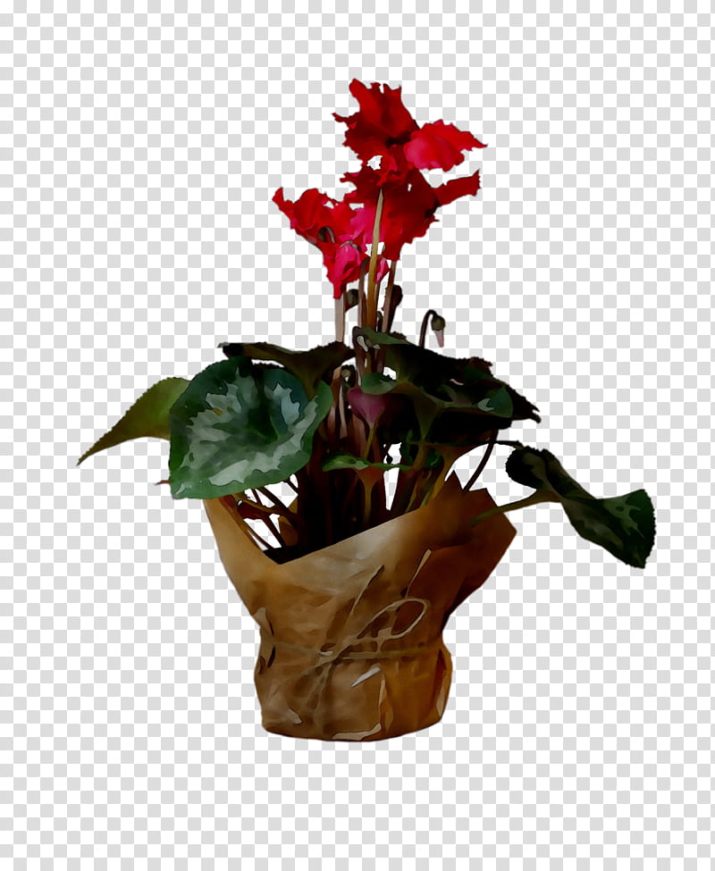 Flowers, Cut Flowers, Floral Design, Flowerpot, Artificial Flower, Houseplant, Plants, Cyclamen transparent background PNG clipart
