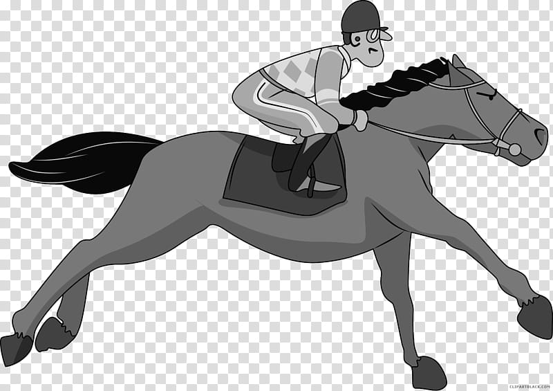 Horse, Thoroughbred, Horse Racing, 2015 Kentucky Derby, Jockey, Equestrian, Thoroughbred Racing, Epsom Derby transparent background PNG clipart
