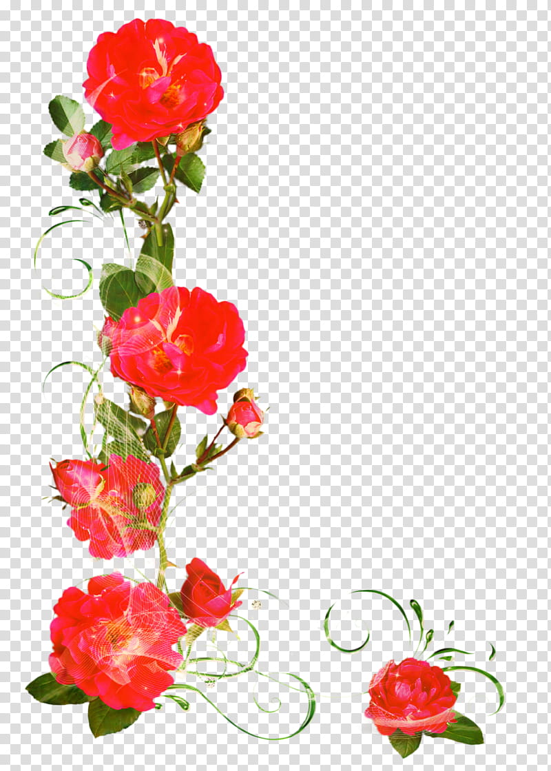 Friendship Day Love, Poema, Poemas De Amor, Poetry, Verse, Book, Android, Flower transparent background PNG clipart
