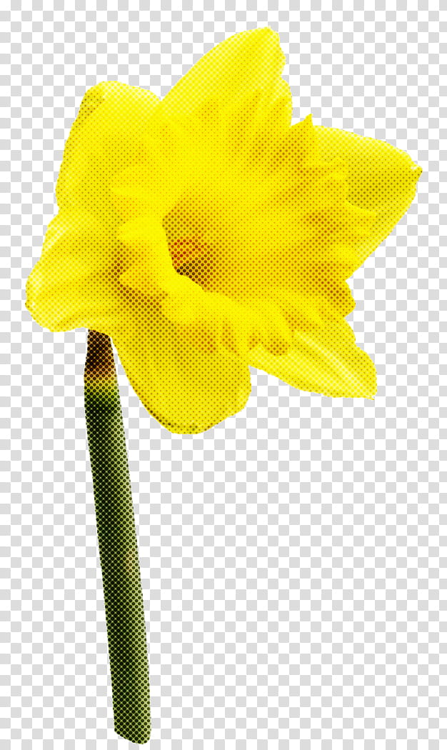 yellow flower plant petal narcissus, Amaryllis Family, Pedicel, Cut Flowers, Hippeastrum transparent background PNG clipart