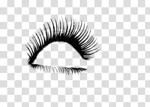 Eyelash , black eyelashes transparent background PNG clipart