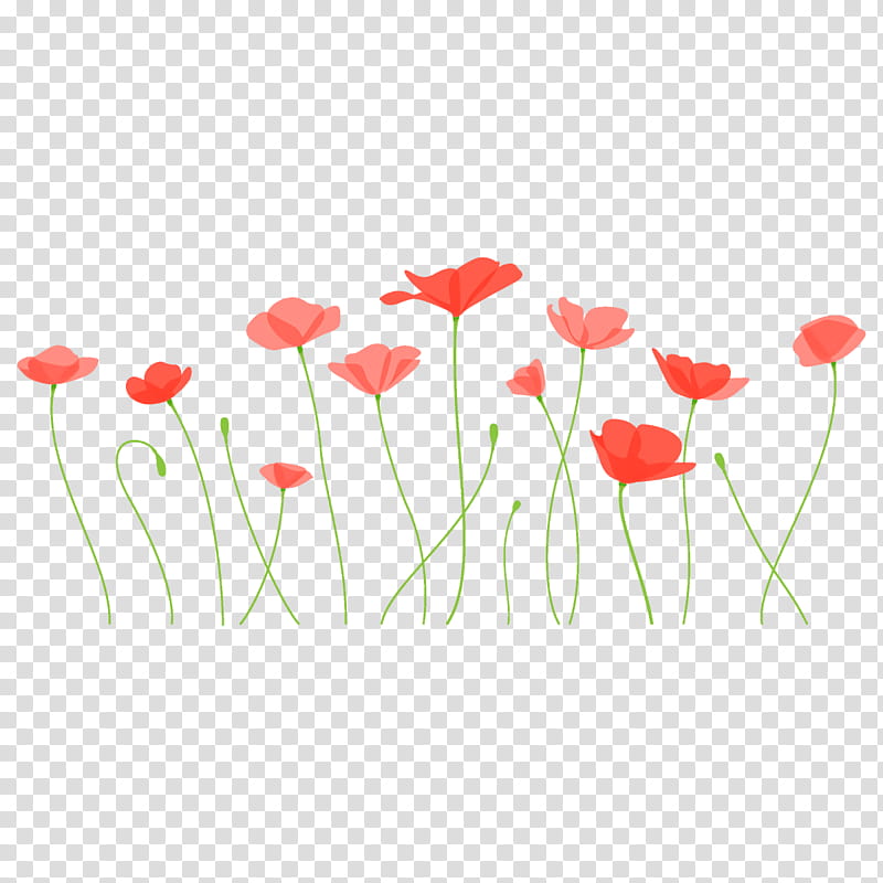 poppy flower, Coquelicot, Red, Corn Poppy, Plant, Plant Stem, Poppy Family, Petal transparent background PNG clipart