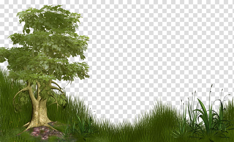 backgrounds, green tree and grass field illustration transparent background PNG clipart