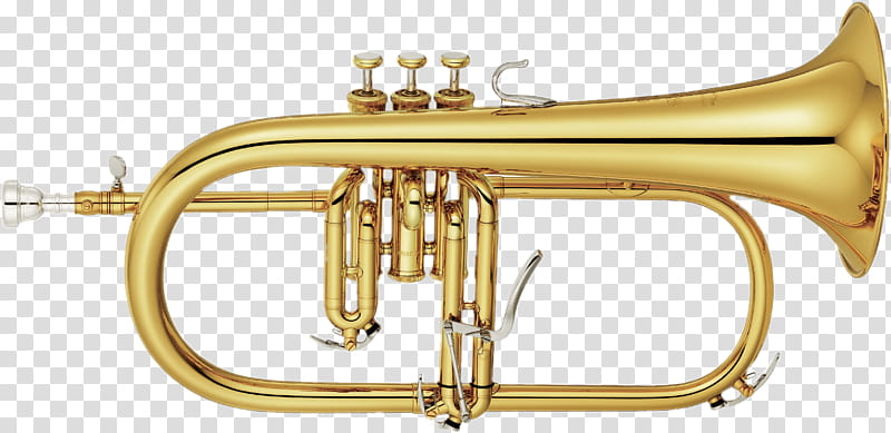 Brass Instruments, Flugelhorn, Trumpet, French Horns, Musical Instruments, Piano, Bore, Bobby Shew transparent background PNG clipart