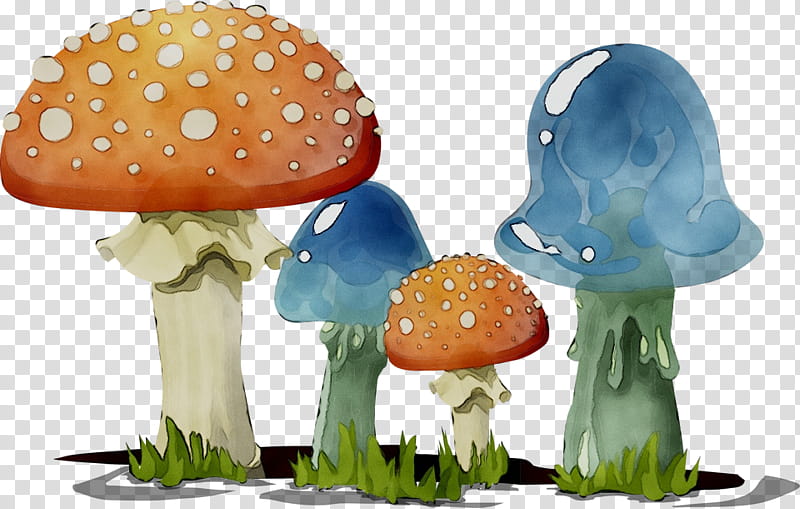Web Design, Fungus, Mushroom, Fly Agaric, Common Mushroom, Lingzhi Mushroom, Amanita, Agaricomycetes transparent background PNG clipart