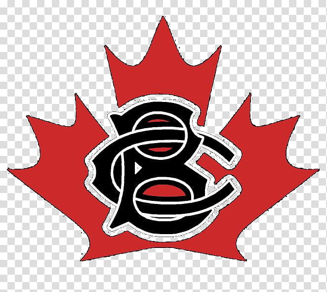 Canada Maple Leaf, Flag Of Canada, Black Ribbon, Flag Of Toronto, Flag Of Alberta, Zazzle, Flag Of British Columbia, National Flag transparent background PNG clipart