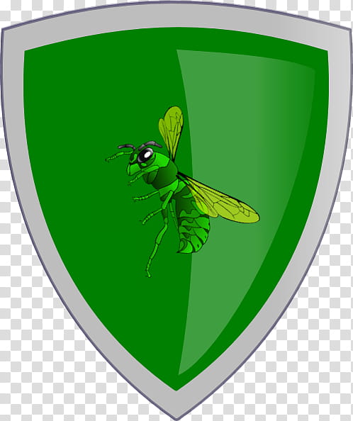 Hornet Green, Diagram, Insect, Pest, Membranewinged Insect, Cicada transparent background PNG clipart