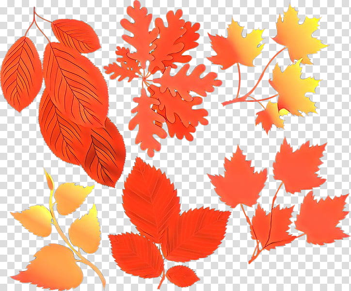 Orange, Cartoon, Leaf, Tree, Plant, Deciduous, Black Maple, Coquelicot transparent background PNG clipart