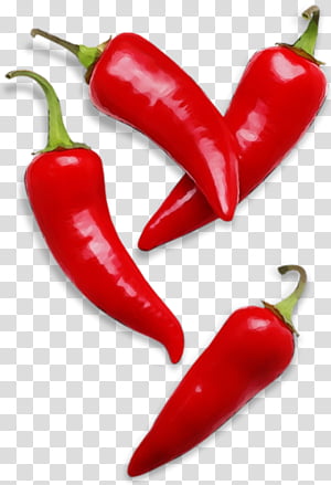 chili pepper serrano pepper tabasco pepper malagueta pepper bird's eye chili, Watercolor, Paint, Wet Ink, Birds Eye Chili, Peperoncini, Bell Peppers And Chili Peppers, Cayenne Pepper transparent background PNG clipart thumbnail