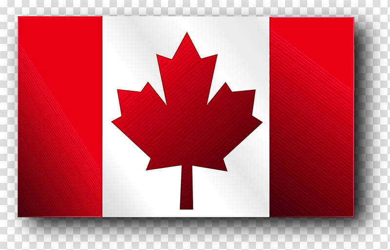 Canada Maple Leaf, Canada Day, Flag Of Canada, Great Canadian Flag Debate, Coat Of Arms Of Ontario, Red, Tree, Woody Plant transparent background PNG clipart