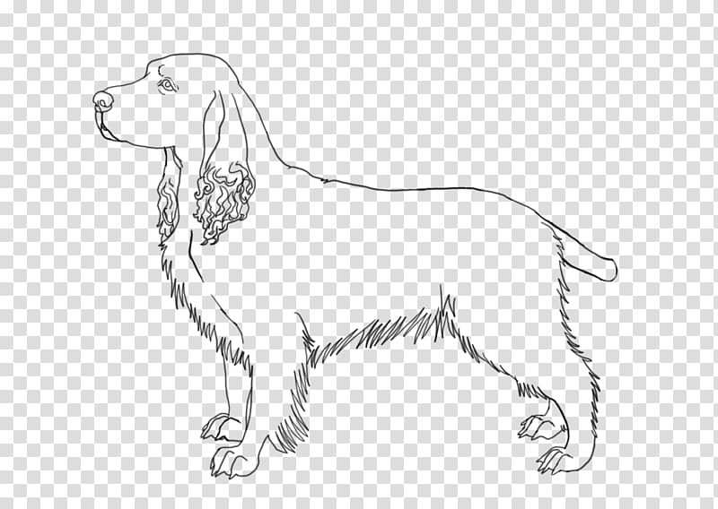 English Springer Spaniel Lineart, dog illustration transparent background PNG clipart
