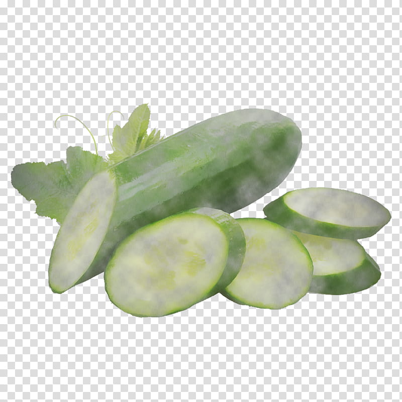 white cucumber plant vegetable cucumis, Scarlet Gourd, Food, Cucumber Gourd And Melon Family, Flower transparent background PNG clipart