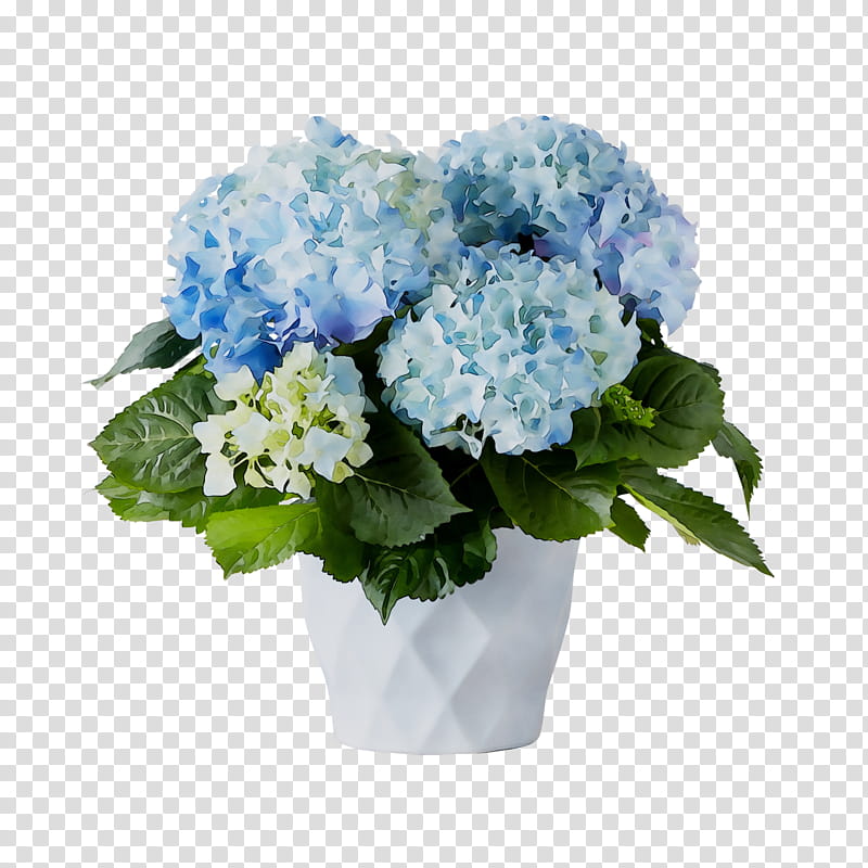 Flowers, Hydrangea, Floral Design, Cut Flowers, Flower Bouquet, Artificial Flower, Flowerpot, Annual Plant transparent background PNG clipart