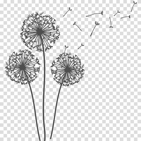 Drawing Of Family, Common Dandelion, Sticker, Flower, Plant, Cut Flowers, Plant Stem, Wildflower transparent background PNG clipart