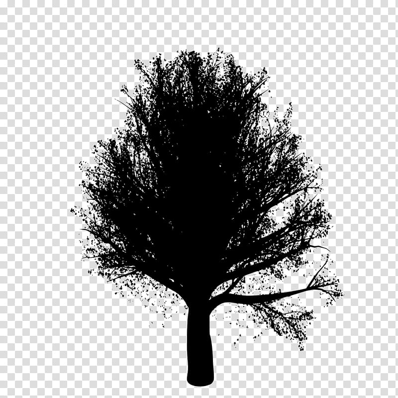 Oak Tree Silhouette, Twig, Forest, Computer Icons, , Blog, Black, Woody Plant transparent background PNG clipart