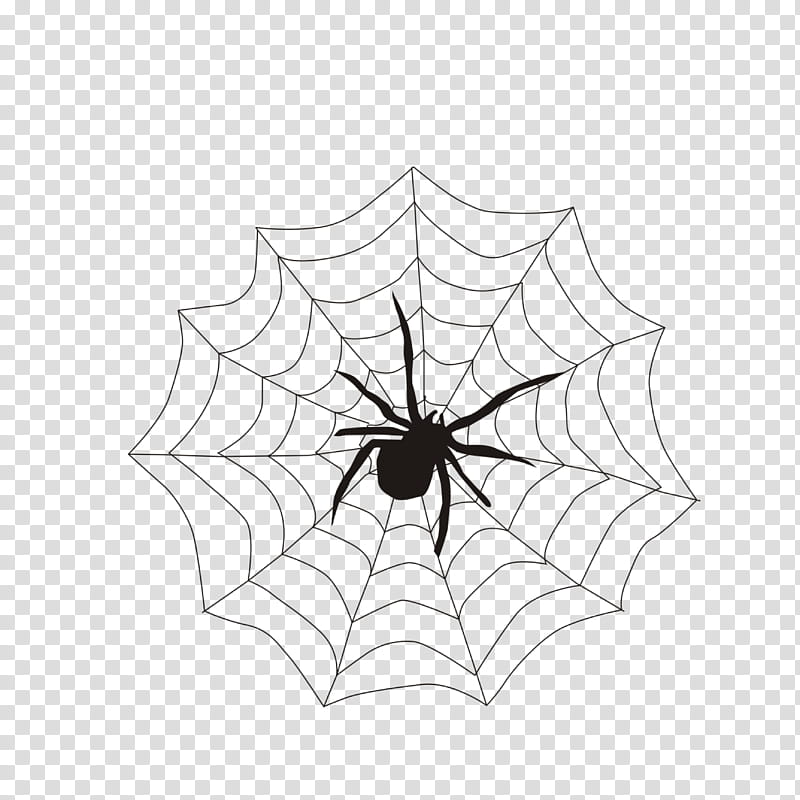 Spider web, White, Arachnid, Leaf, Blackandwhite, Line, Plant, Symmetry transparent background PNG clipart