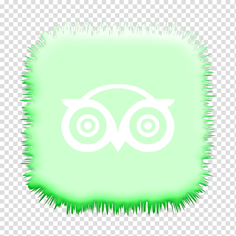 Social Media Icon, Social Icon, Tripadvisor Icon, Desktop , Animal, Closeup, Computer, Green transparent background PNG clipart