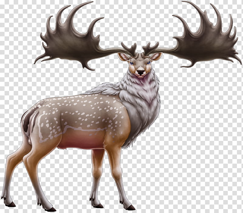 Horse, Reindeer, Elk, Moose, Antler, Irish Elk, Horn, Cattle transparent background PNG clipart
