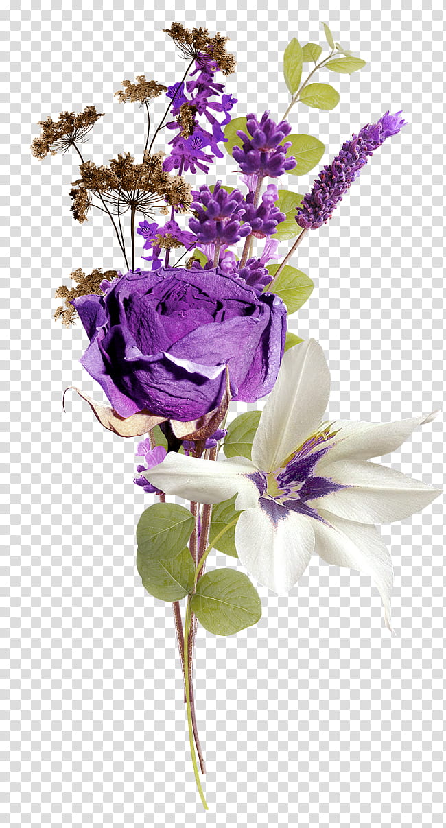 Bouquet Of Flowers Drawing, English Lavender, Raster Graphics, Violet, Flower Bouquet, Web Browser, Scrapbooking, Plant transparent background PNG clipart