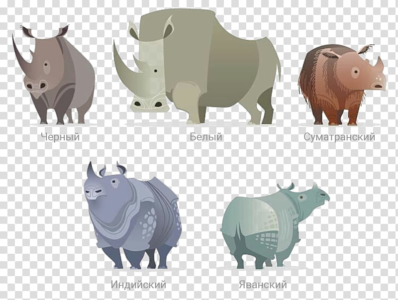 Unicorn, Javan Rhinoceros, Indian Rhinoceros, Western Black Rhinoceros, Save The Rhino, Horn, Poaching, Animal transparent background PNG clipart