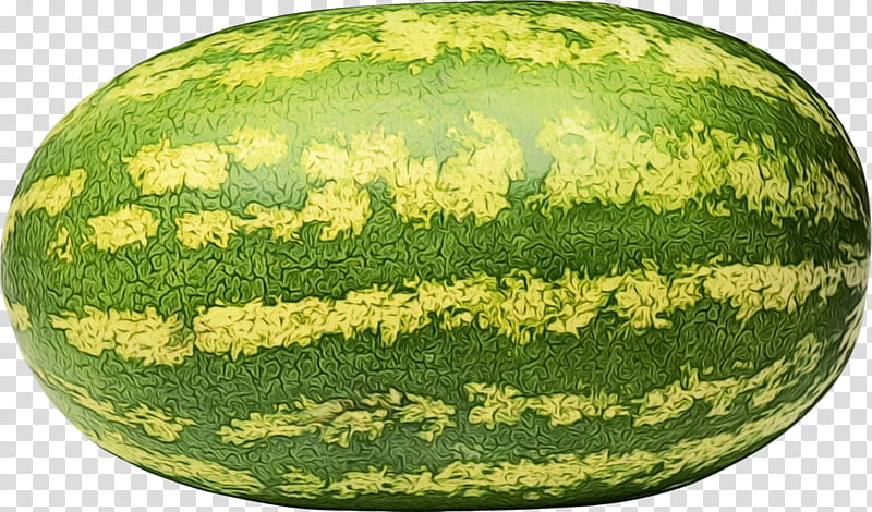Seed Oil Cucumber Muskmelon Transparent Background Png Clipart Hiclipart Pn...